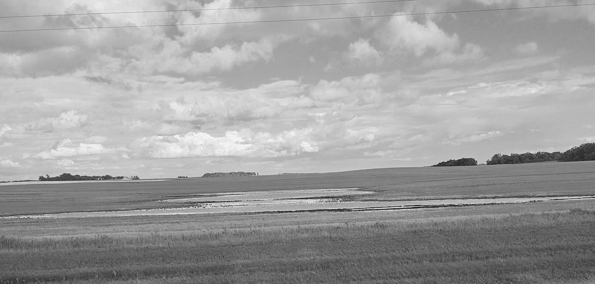 Rain dampens harvest