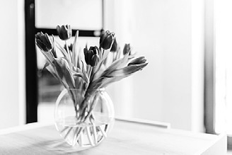 Alt Text for Image