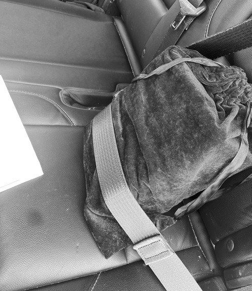 Mum-z securely fastened in the seatbelt for a long ride to North Dakota.