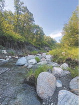 The challenging terrain of the Wilderman race in the Pembina Gorge. Submitted photo