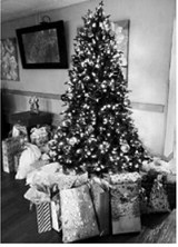 The Christmas tree at PNC with gifts underneath.