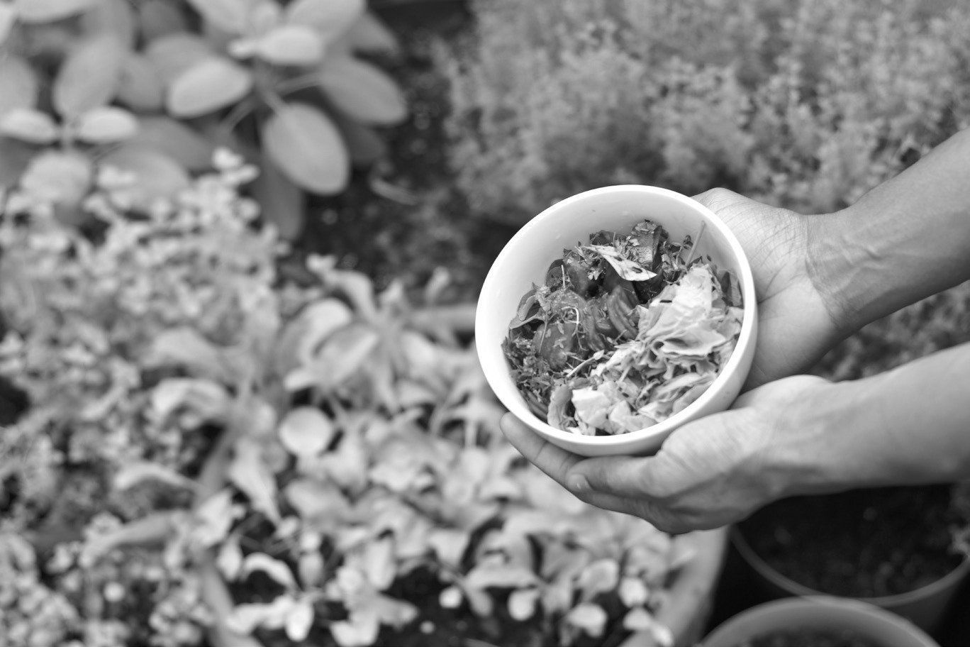 By implementing cost-saving strategies, you can create a high-production home garden without breaking the bank. (Unsplash photo)