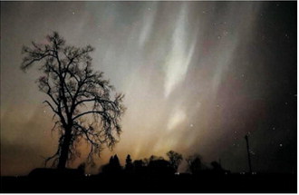 Night sky display: The northern lights dance across the night sky in this photo taken by Amanda Buchweitz near Munich, between highways 5 and 20. Photo by Amanda Buchweitz