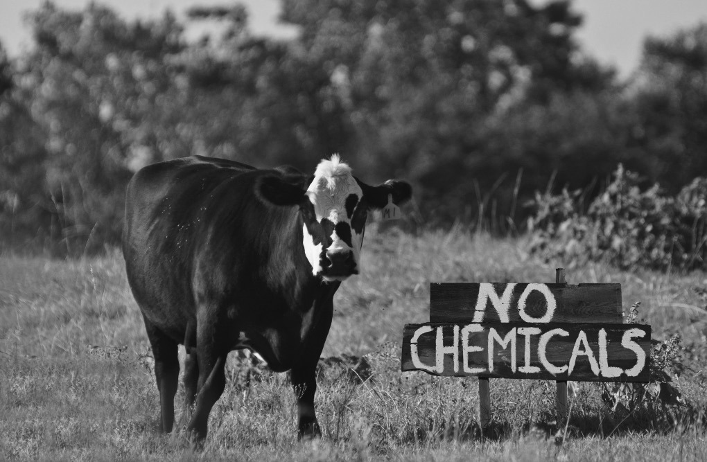 An alternative to the USDA Organic label could be more accessible for farmers, but can it stick with consumers?