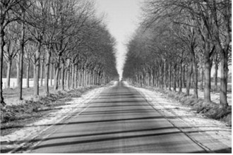 Longer days give us the sense of spring, but we are very much still in winter. Pixabay photo
