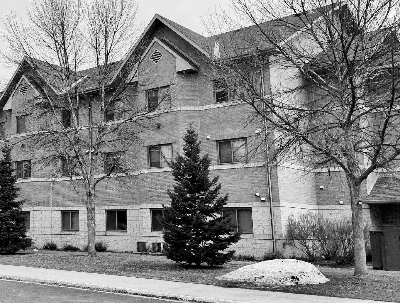 These ash trees in Moorhead, Minnesota, are infested with EAB. They could have been preemptively removed years ago, along with planting of new trees. Diversifying sooner, rather than later, is a good approach, says NDSU Extension forester, Joe Zeleznik. (NDSU photo)