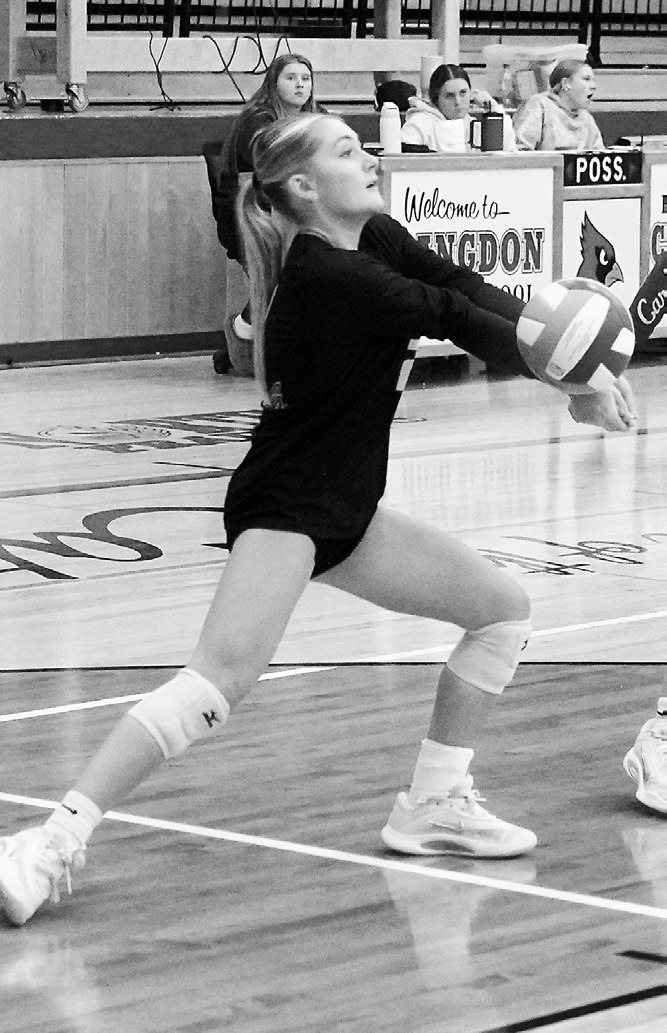 Ella Goodman digs the ball in the back row sending it to a front row teammate. Photo by Larry Stokke.