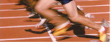 Cards, Grizzlies compete at State Track Meet