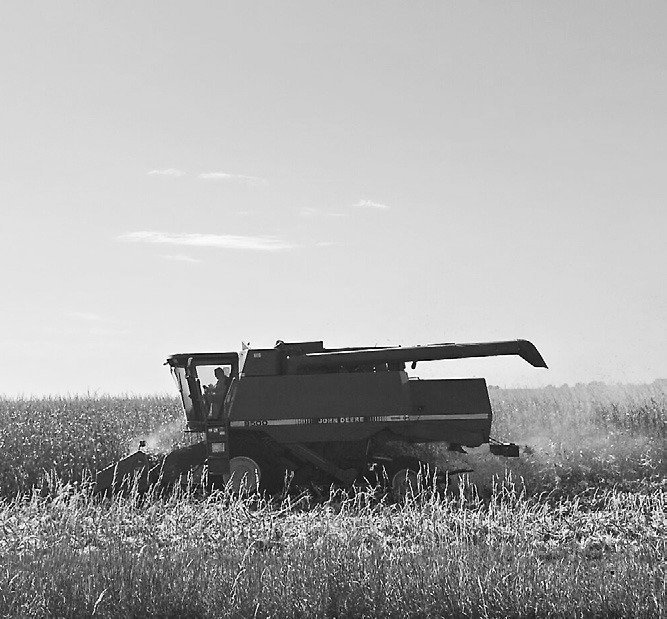 A farmer harvests corn beside Highway 163 in Iowa. (Photo by Cami Koons/Iowa Capital Dispatch)