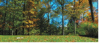 Unseasonably warm weather brings concerns
