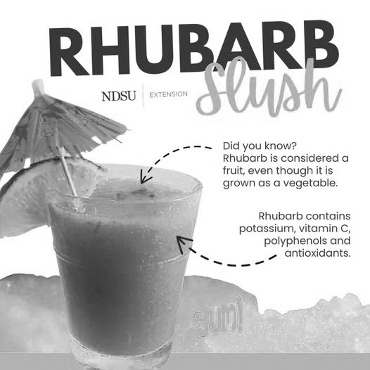 Rhubarb slush recipe