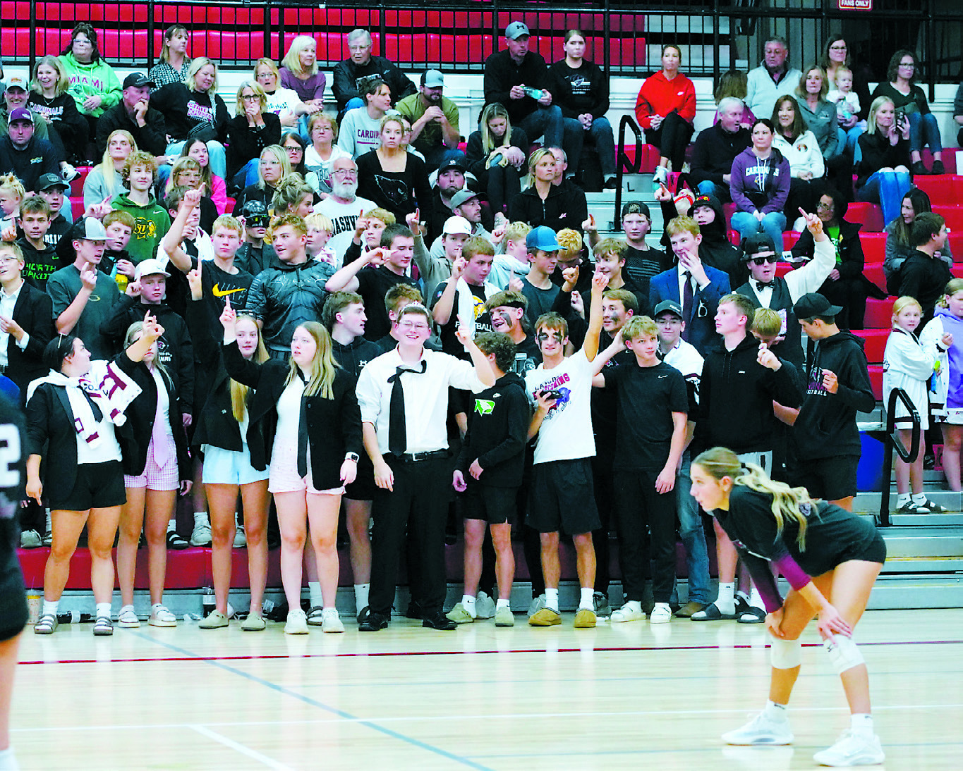 The Cardinals 'Bird Cage' was loud and proud during the game with the Grafton Spoilers. Photo by Larry Stokke.