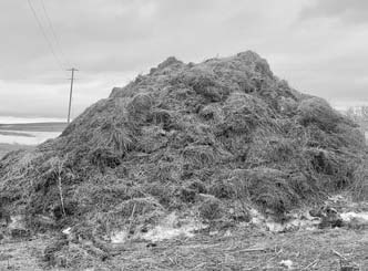 The Dec. 10 horse management webinar will feature a discussion on managing manure in the winter. (NDSU photo)