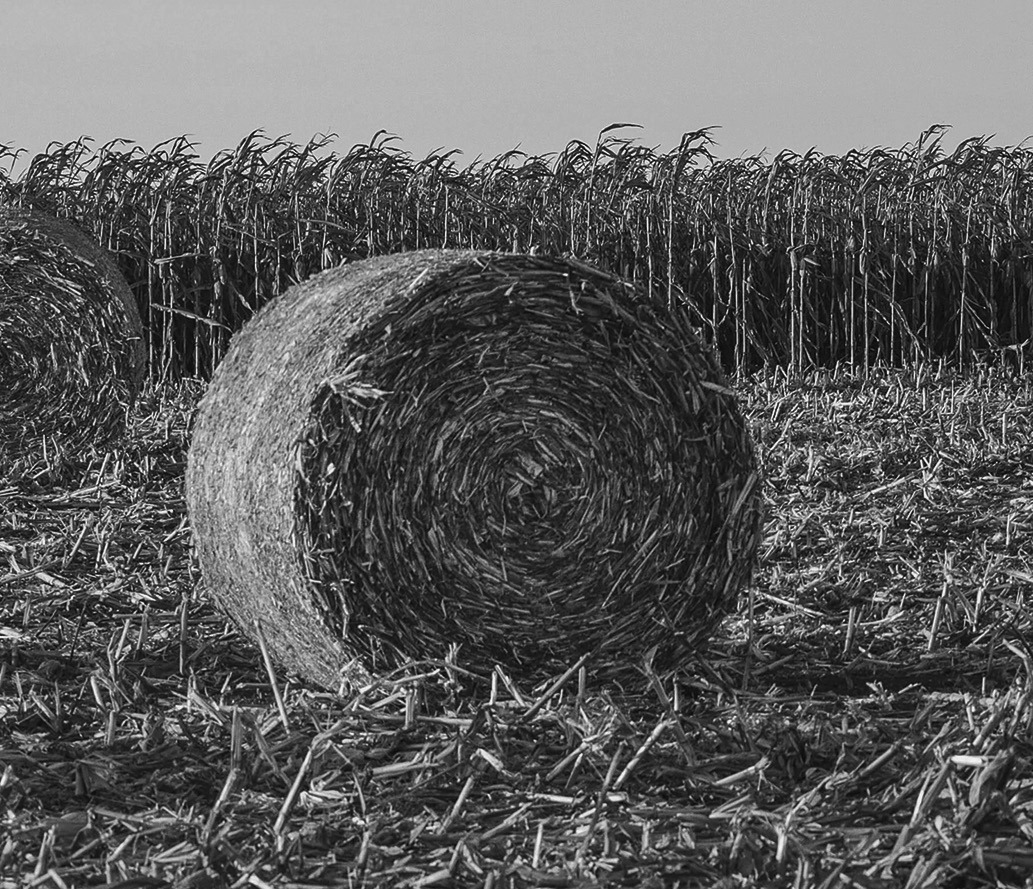 NDSU TO CELEBRATE 51ST ANNUAL HARVEST BOWL