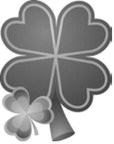 Where Irish America Thrives: U.S. Locales with Strong Irish Roots