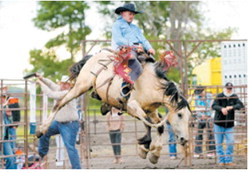 A bronc rider hangs on as his horse kicks high into the air during saddle bronc competition at Wojo’s Rodeo in Hamilton. The annual rodeo drew competitors and spectators for two nights of action June 12-13. Photo by Larry Stokke