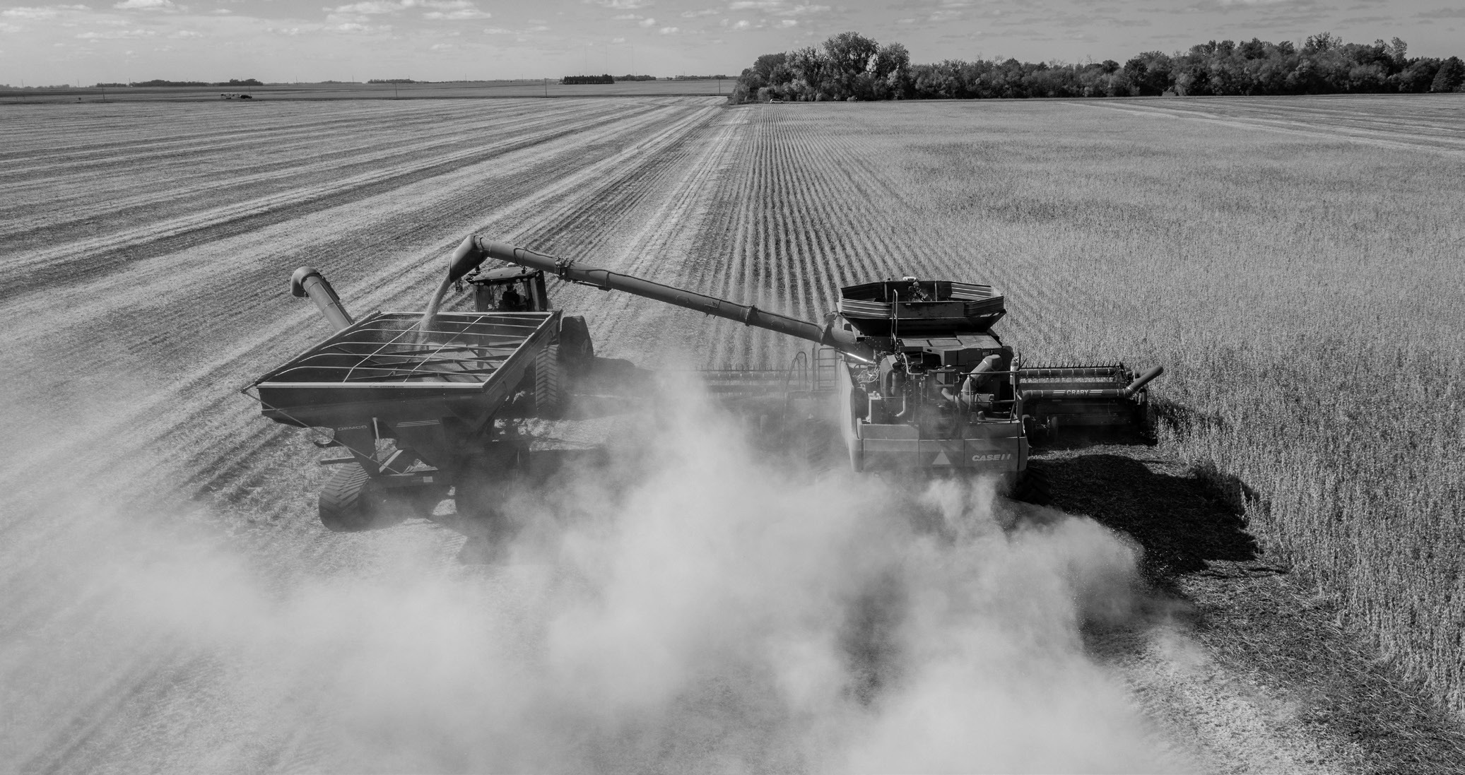 The Getting it Right webinars provide research updates and management recommendations to help farmers make informed production decisions for the 2026 growing season. (NDSU photo)