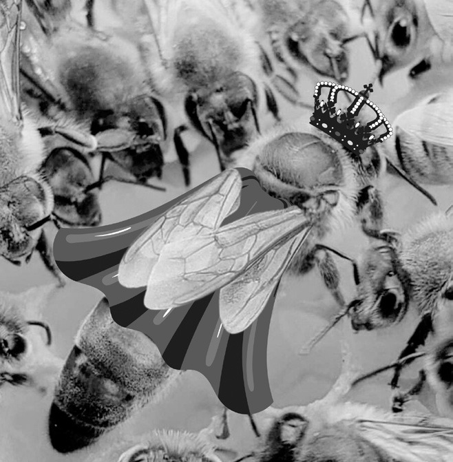 A queen holding court with her drones. Notice her robe and crown.