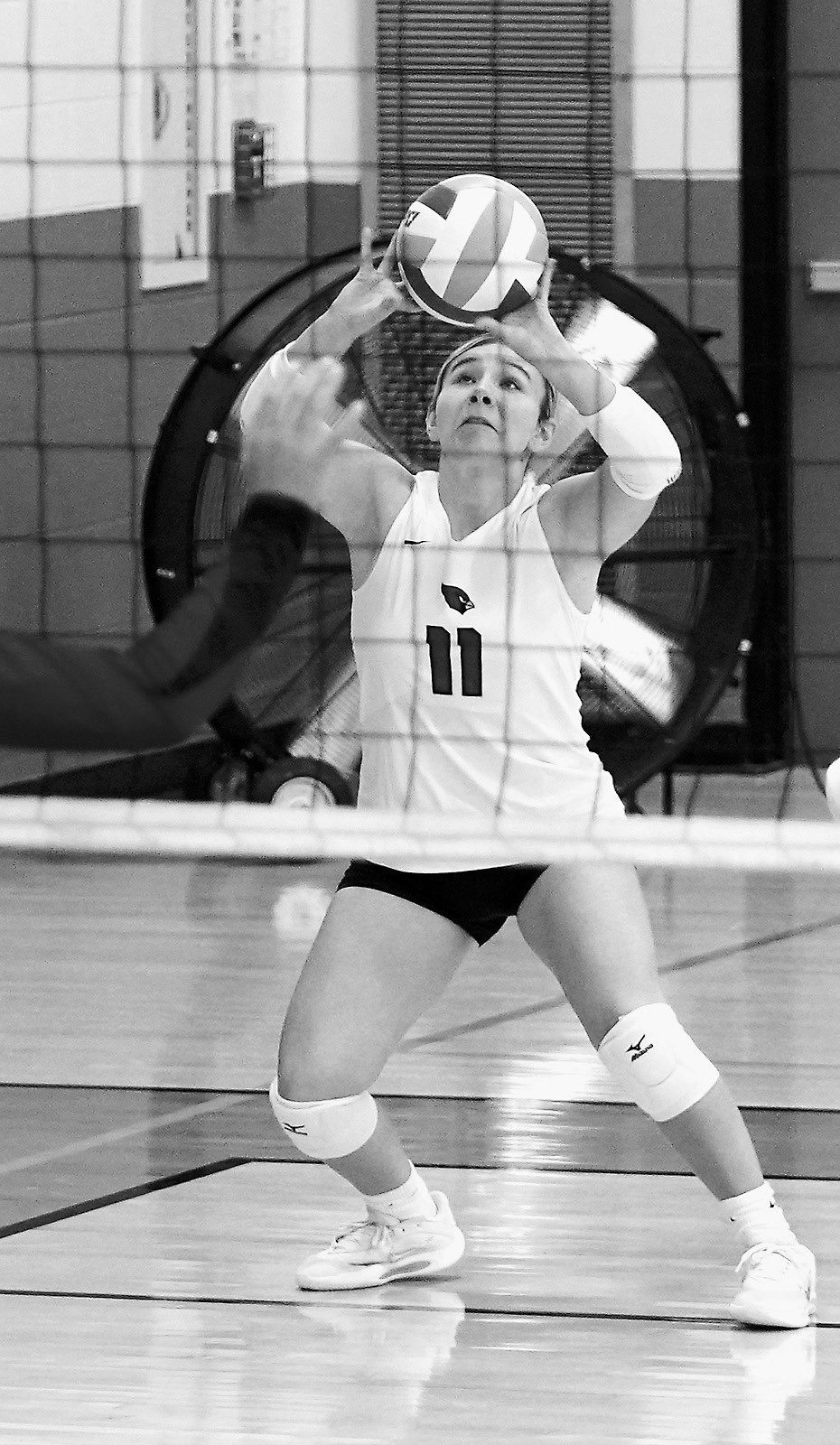 Raeleigh Ratzlaff sets the ball to the front row in Thompson on Aug. 23. Photo by Larry Stokke.