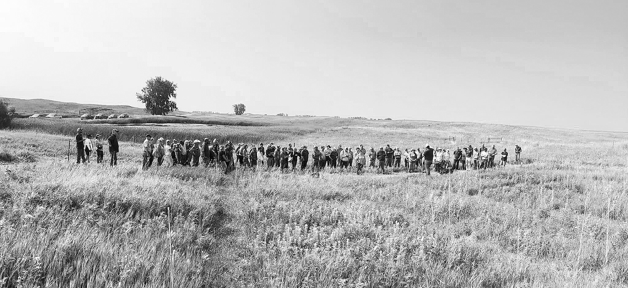 Participants will experience the latest range and grazing research at the NDSU Central Grasslands Research Extension Center Field Day. (NDSU photo)