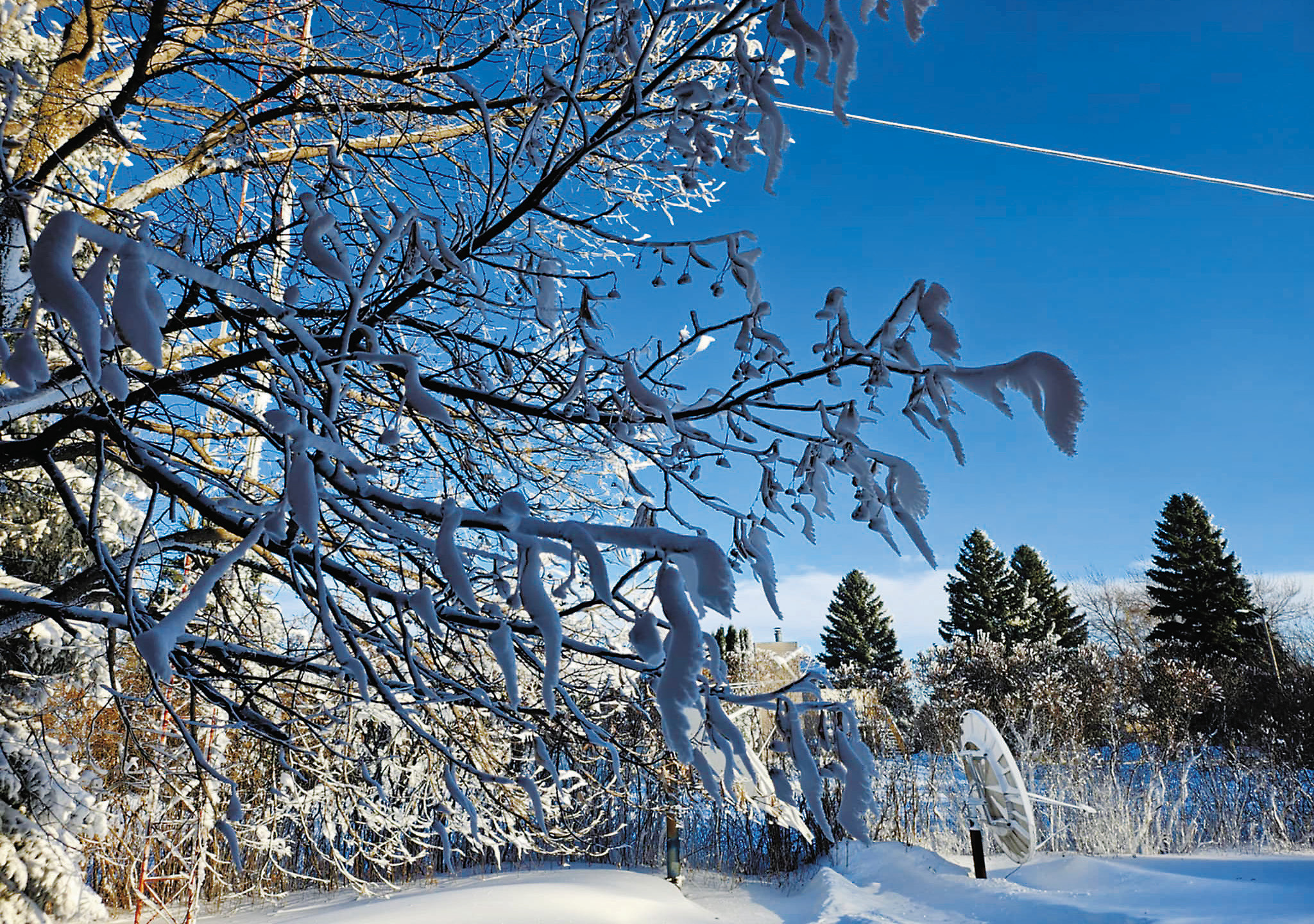 The latest December storm shuts down the region