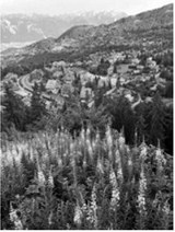 A view from a lookout point the group hiked to in Switzerland. Submitted photo