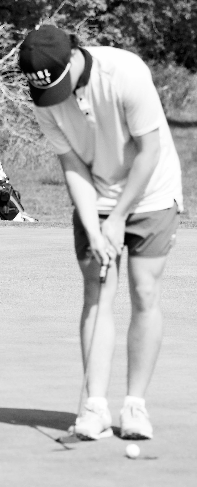 Grant Cosley sinks a putt at regionals and will be heading to the State Golf Tournament. He was also named Region 3 Senior Athlete of the Year. Photo by Larry Stokke.