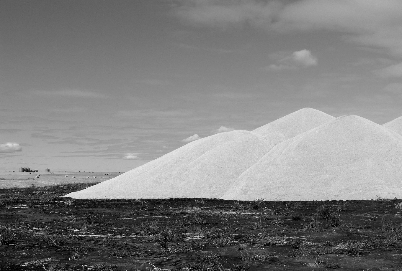 Grain placed in piles needs to stay dry and cool. (Flickr photo by Brad Smith)