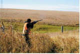 Upland game seasons summarized