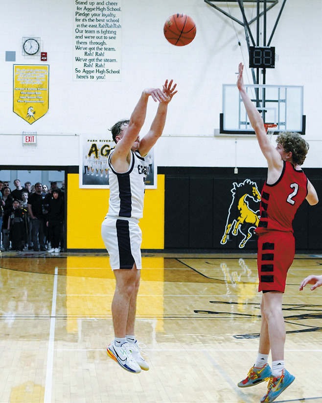 Eagles, Cardinals make Region 2 tournament in improbable fashion