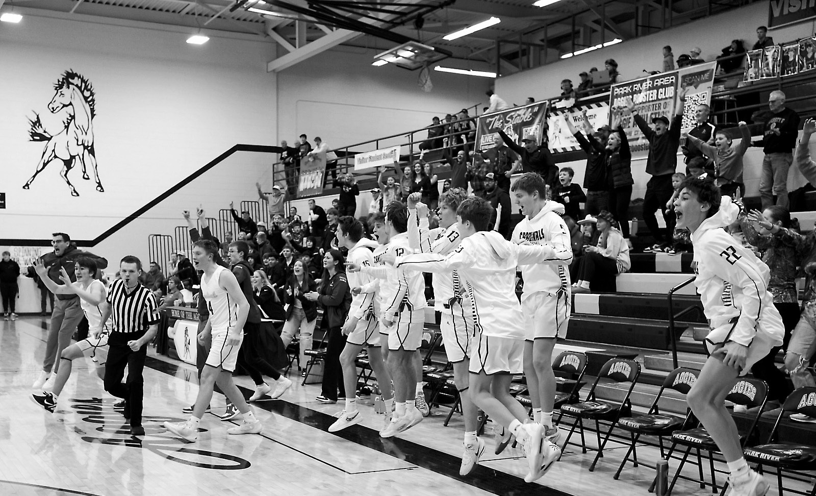 The Cardinals bench and fans celebrate the winning shot. Photo by Larry Stokke.