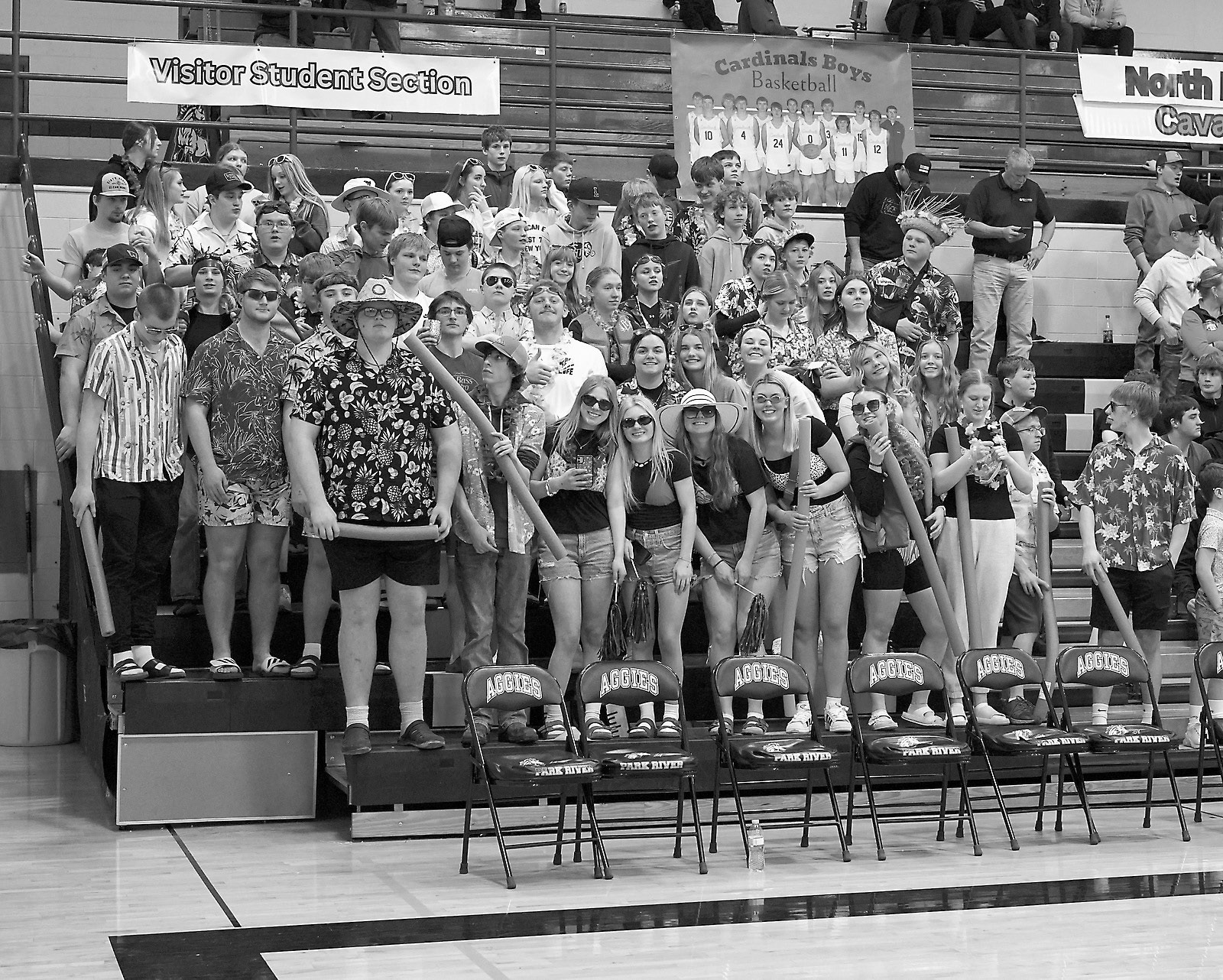 The Cardinals fans came ready to cheer on the team. Photo by Larry Stokke.