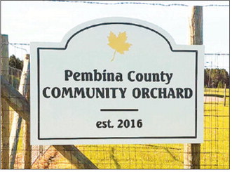 Thanks to a Strengthen ND grant, a cider press is being built at the Pembina County Orchard.
