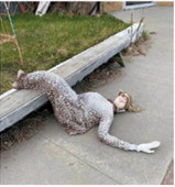 The “Junque Decor Lady” took a tumble during strong winds that swept through Langdon on May 13. Submitted photo