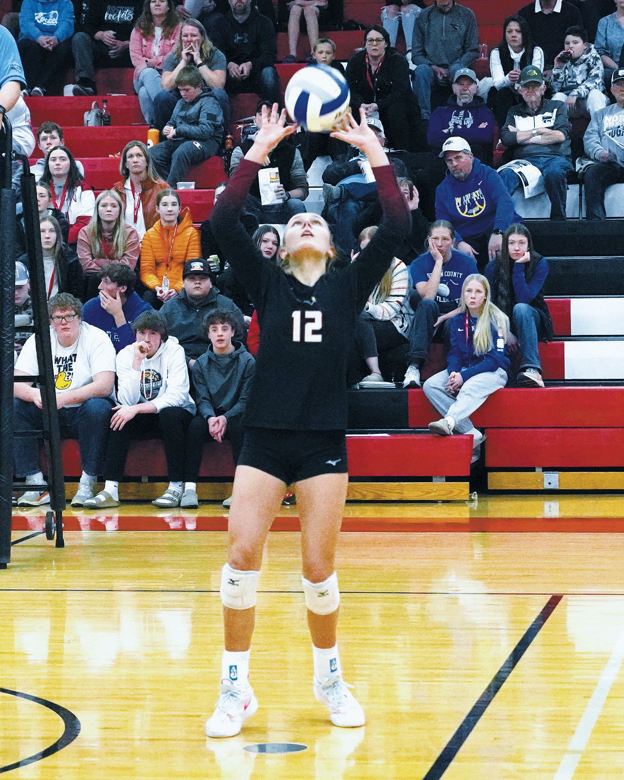 Player of the Game Kemi Morstad sets the ball during the Cardinals win over New Rockford Sheyenne. Photo by Larry Stokke.