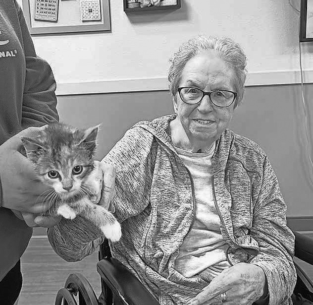 Pembilier Nursing Center: National Kitten Day