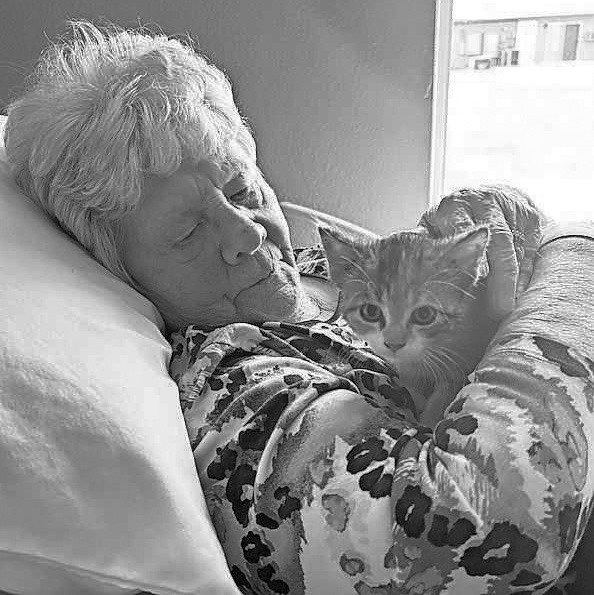 Pembilier Nursing Center: National Kitten Day