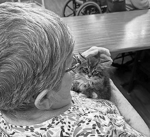 Pembilier Nursing Center: National Kitten Day