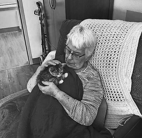 Pembilier Nursing Center: National Kitten Day