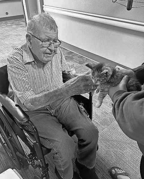 Pembilier Nursing Center: National Kitten Day