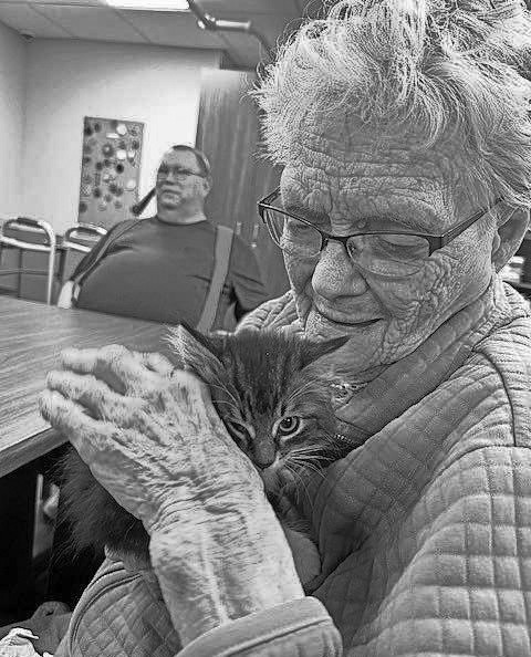 Pembilier Nursing Center: National Kitten Day