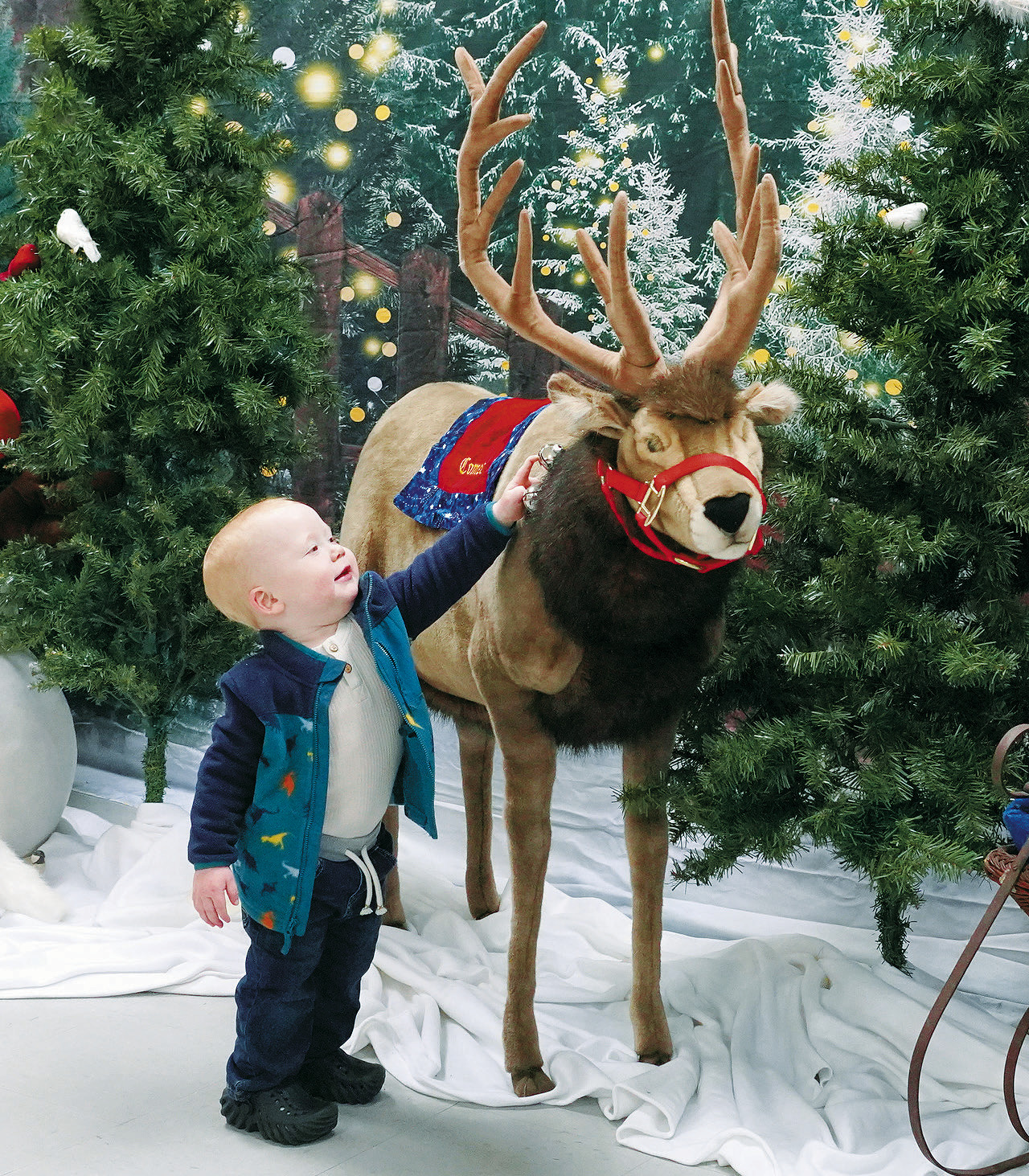 Views from the Borderland - Santa visits Langdon