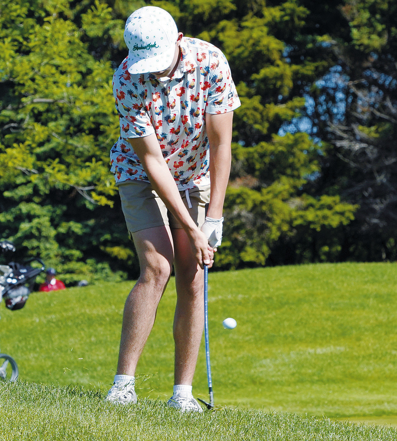 North Border Eagle Brody Berg at state golf. Photo by Larry Stokke.