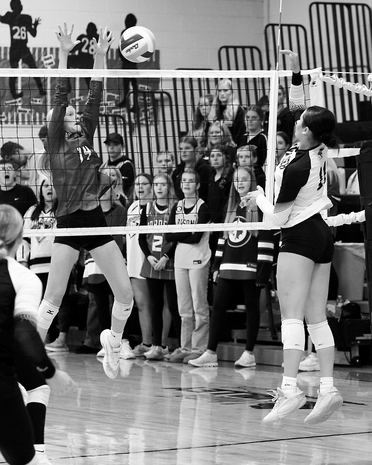 Lady Cards take sixth at VC Tourney, get wins against Cavalier and St. John