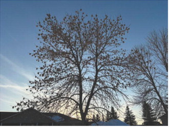 Four days, two seasons
