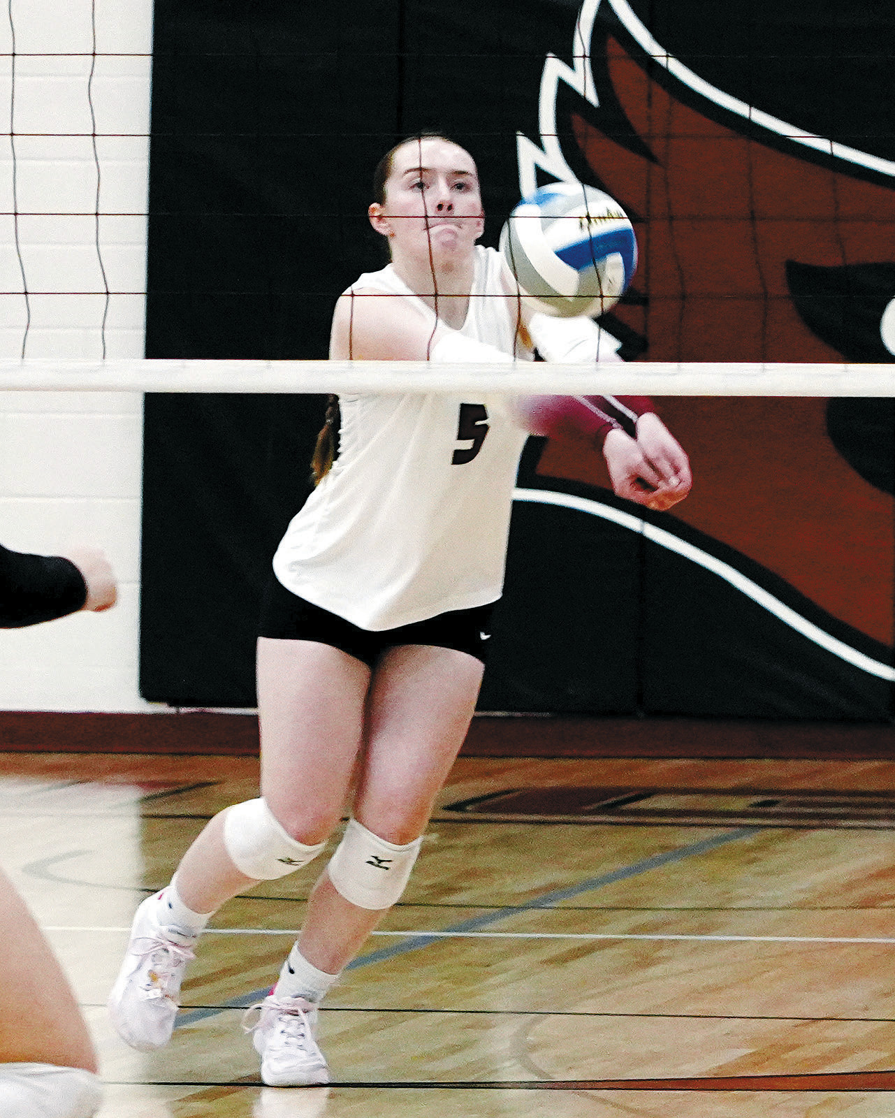 Merideth Romfo was co-player of the game against Park River and had 14 digs and 12 kills on Oct 21 in Langdon. Photo by Larry Stokke.