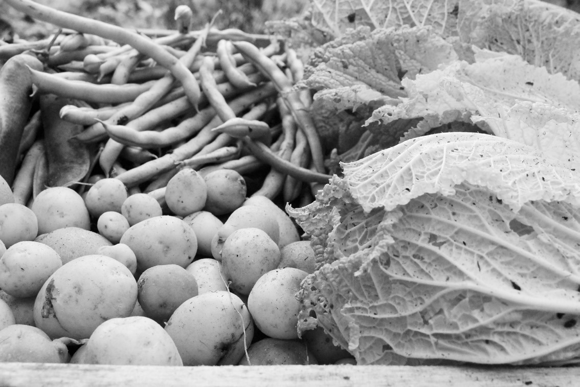 Running water and a vegetable brush are effective in removing soil, germs, and other residues from potatoes and other produce. (Pixabay photo)