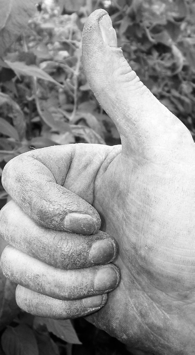 There are many ways for gardeners to keep their green thumbs busy while they wait for spring. (Pixabay photo)