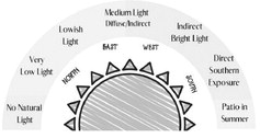 Proper identification of your plants is the first step to knowing what type of lighting it requires to thrive. (NDSU graphic)