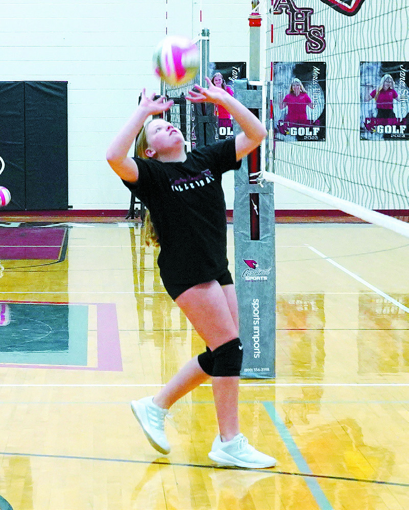 Colby Forest sets the ball to a teammate against Park River. Photo by Larry Stokke.